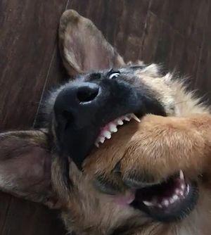 But_I_Was_Chewing_on_That.jpg