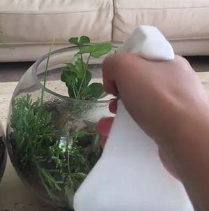 watering_dog.jpg