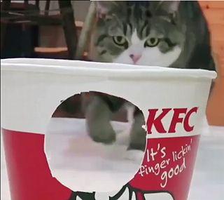 kfc.jpg