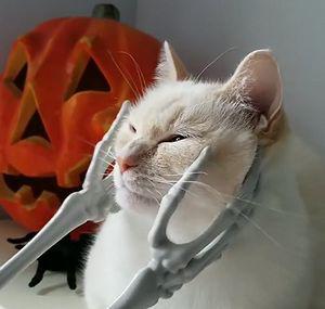 Spooky_bliss.jpg