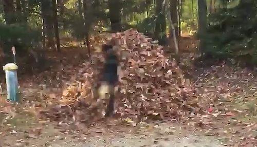 I_think_fall_may_be_her_favorite.jpg