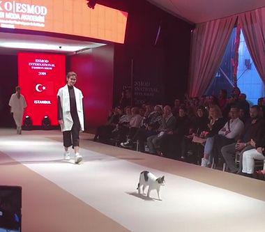 catwalk.jpg