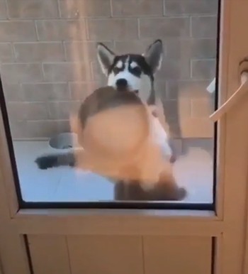 food_dance.jpg