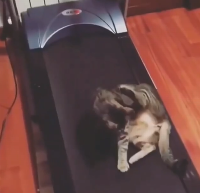 moving_napping_spot.png