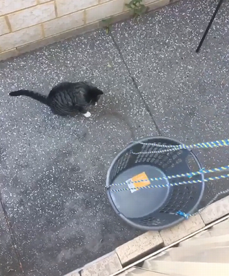 mission_impossible.png