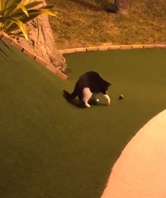 hole-in-one.png