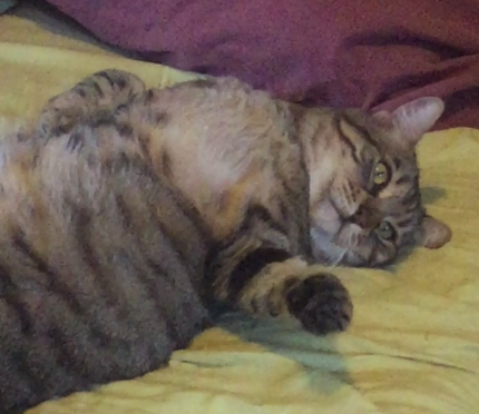 sleeps_with_her_eyes_open.png