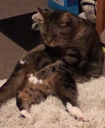 self_massage.png