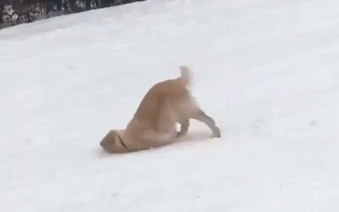 good_slide.png