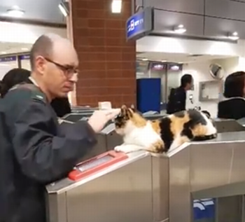 ticket_plz.png
