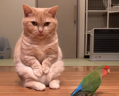 the_way_he_sits.png
