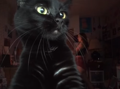 cat_blocks_shot.png