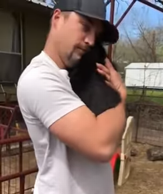baby_goats_line_up.png