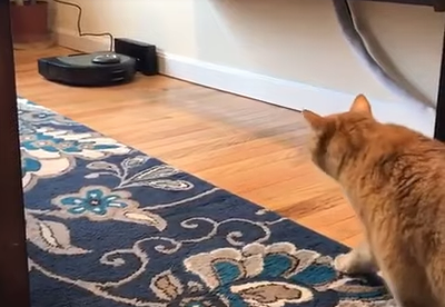 Escape_Robotic_Vacuum.png