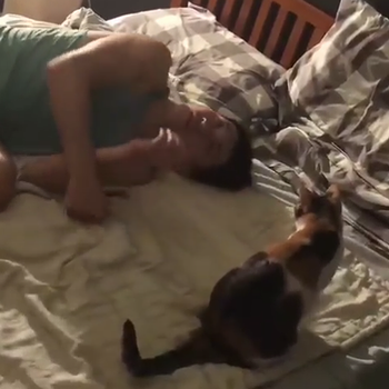 roll_over_on_a_bed.png