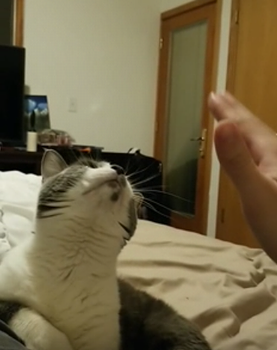 What_are_you_doing.png