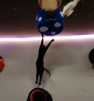 Cats_playing_on_the_ceiling.png