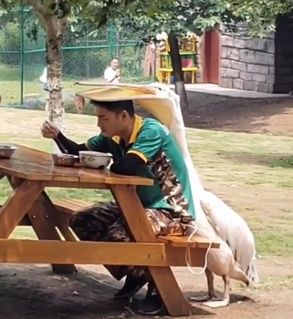 Just_cant_eat_in_peace.png