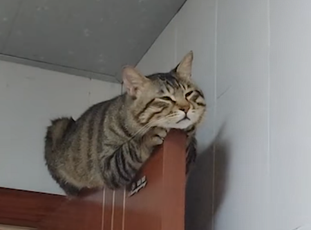 top_of_the_door.png