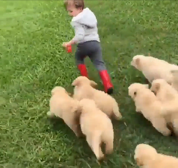 run_kid.png