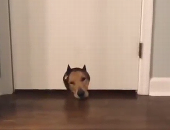 Could_you_get_out.png