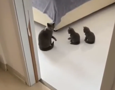 Teaching_the_kids.png