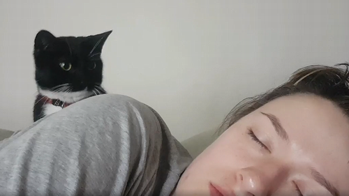 booped_awake.png