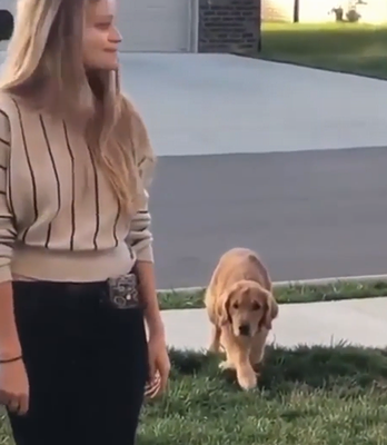 sneak_attack.png