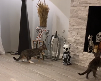new_guest.png