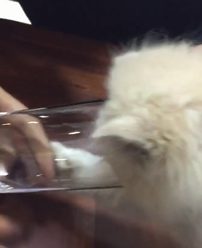 how_to_drink_water.png