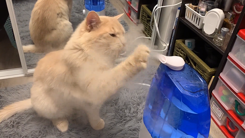 humidifier.png