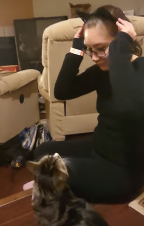 Kitty_Scared_of_Cat_Ears.png