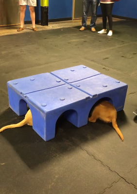 secret_meeting.png