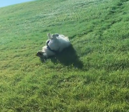 sliding_down_hill.png
