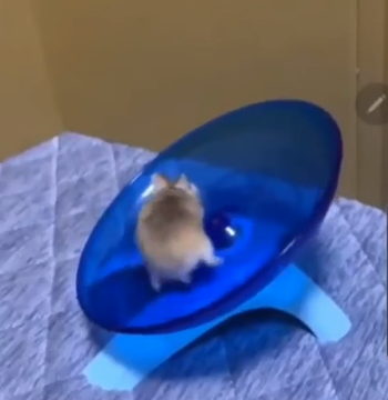 Sonic_the_Hedgehog.png