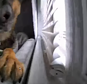 Security_footage.png