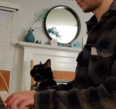 Demands_Attention.png