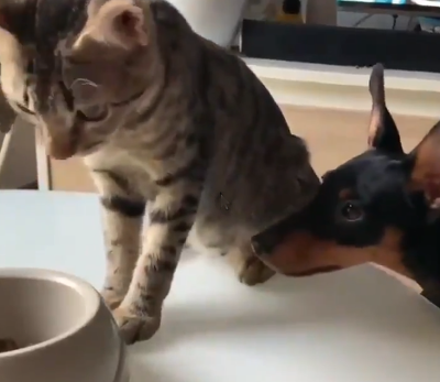 sharing.png