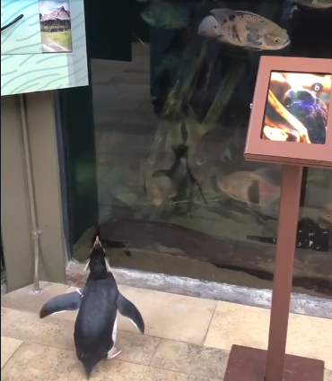 Shedd_Aquarium.png