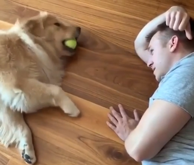the_laziest_game_of_fetch.png