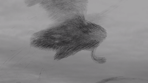 Murmurations.png
