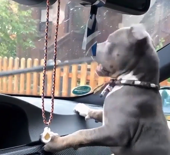 Windshield_wiper_woofer.png