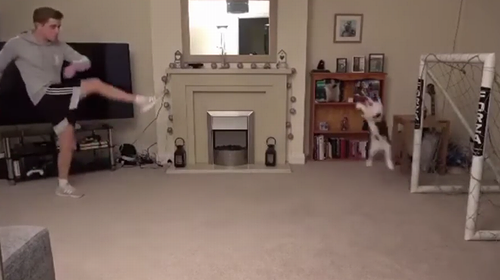 goalkeeper_cat.png