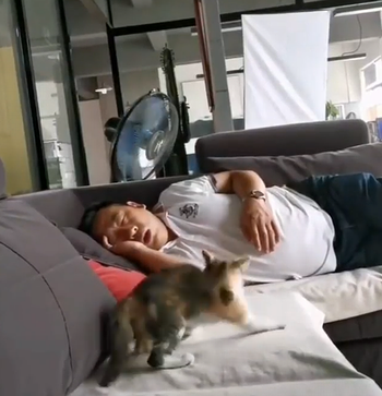 the_sound_of_snoring.png