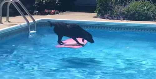 fetch_ball_from_pool.png