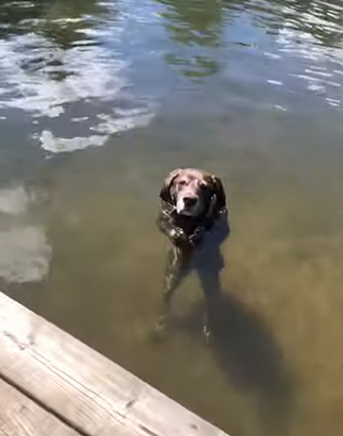 Wades_in_Lake_Water.png