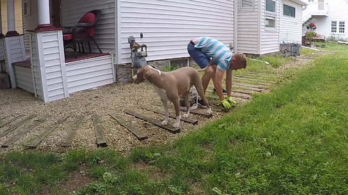 My_dog_following_me.png