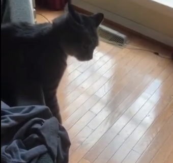 Sucked_on_the_sofa.png