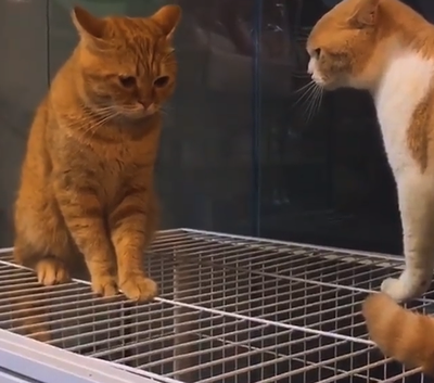 When_your_mom_scolds_you.png