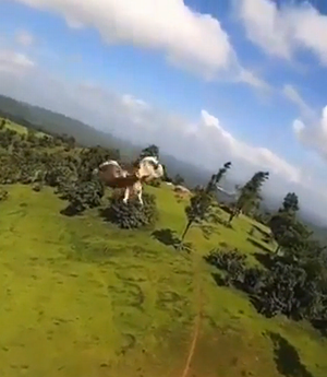 Drone_attacked.png